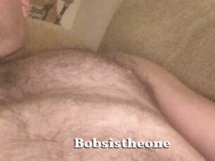 Bobsistheone