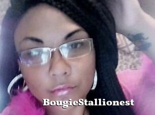 BougieStallionest