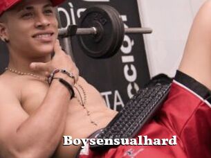 Boysensualhard