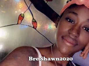 Bre_Shawn2020