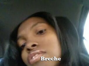 Breche