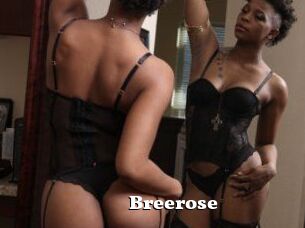 Breerose