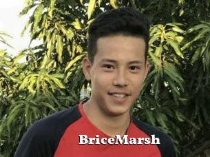 BriceMarsh