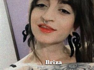 Briza