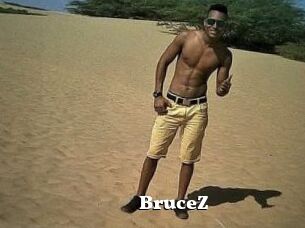 BruceZ