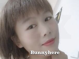 Bunnyhere