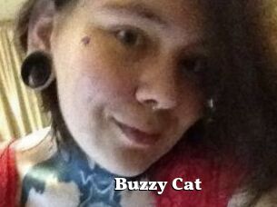 Buzzy_Cat