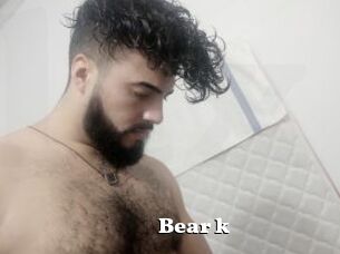 Bear_k