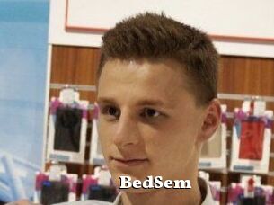 BedSem