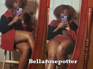 Bellarosepotter