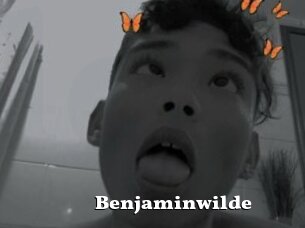 Benjaminwilde