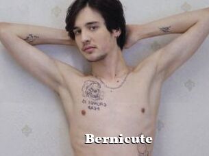 Bernicute