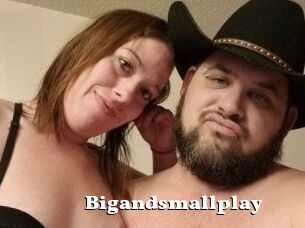 Bigandsmallplay