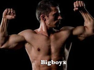 Bigboyx