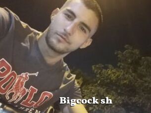 Bigcock_sh