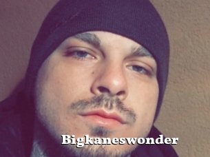 Bigkaneswonder