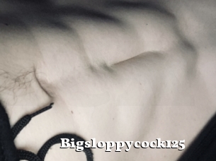 Bigsloppycock125