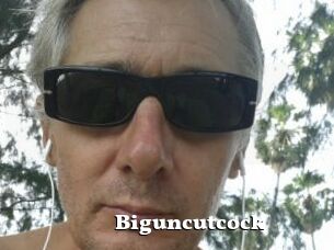 Biguncutcock