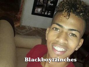 Blackboy12inches