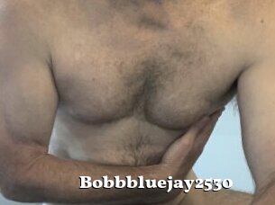 Bobbbluejay2530