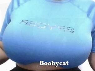 Boobycat