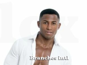 Branches_intl