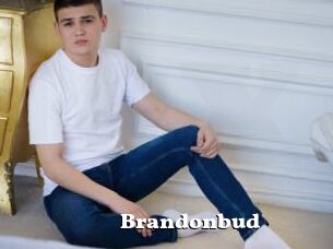 Brandonbud