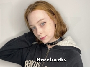 Breebarks