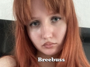 Breebuss