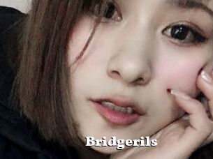 Bridgerils