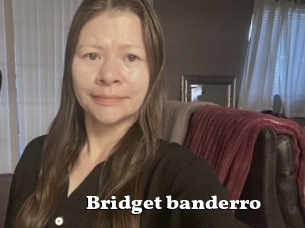 Bridget_banderro