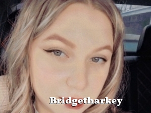 Bridgetharkey