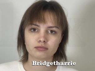 Bridgetharrie