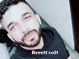 Brrett_colt