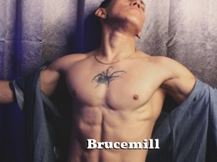 Brucemill