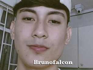 Brunofalcon