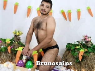 Brunosains