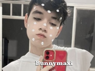 Bunnymaxi