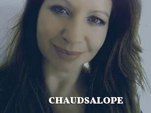 CHAUDSALOPE