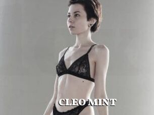 CLEO_MINT