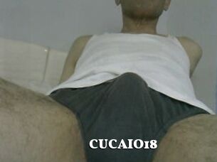 CUCAIO18