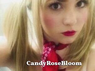 CandyRoseBloom