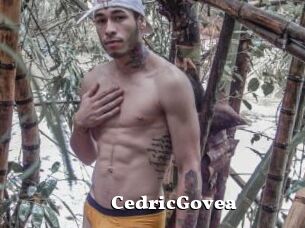 CedricGovea