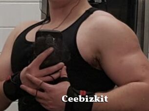 Ceebizkit