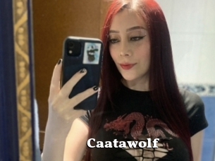 Caatawolf