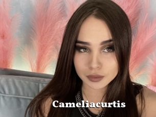 Cameliacurtis