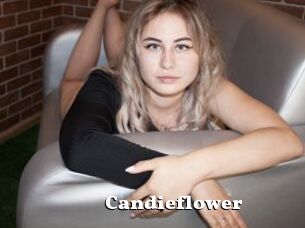 Candieflower