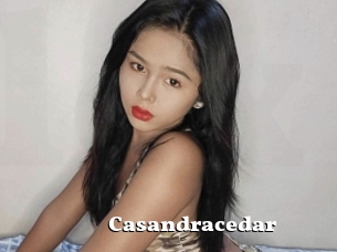 Casandracedar