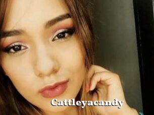 Cattleyacandy