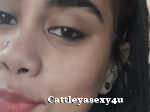 Cattleyasexy4u